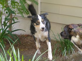 Louie and Manny 2024